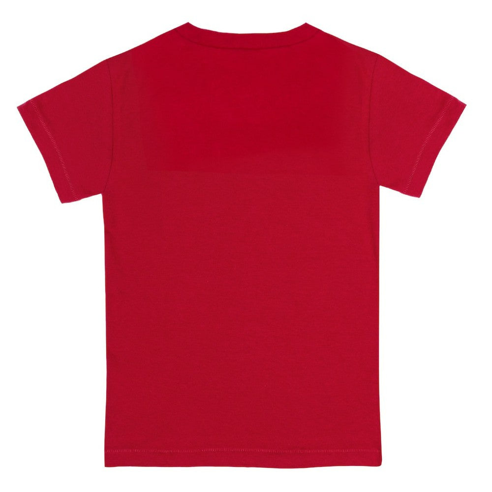 Boston Red Sox Tiny Turnip Youth Teddy Boy T-Shirt - MLB