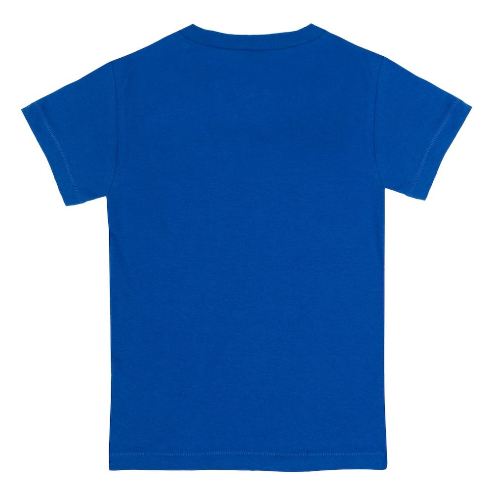 Chicago Cubs Tiny Turnip Youth Hot Bats T-Shirt - MLB