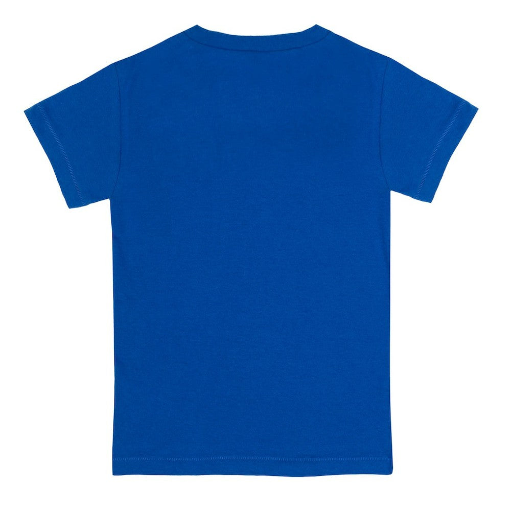 Chicago Cubs Tiny Turnip Youth Popcorn T-Shirt - MLB