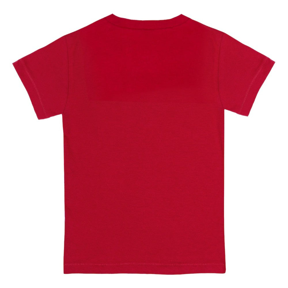 Boston Red Sox Tiny Turnip Youth Triple Scoop T-Shirt - MLB