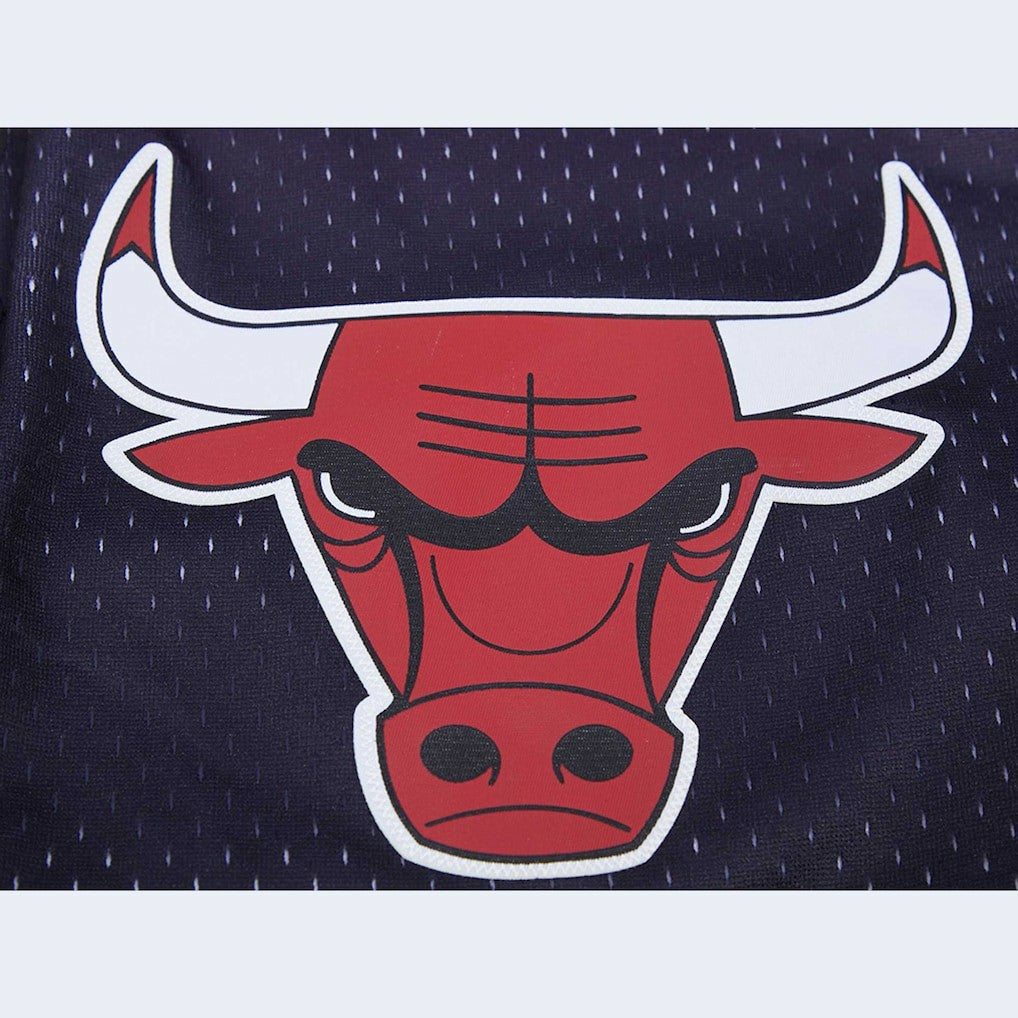Chicago Bulls Pro Standard Ombre Mesh Shorts Black/Red - NBA