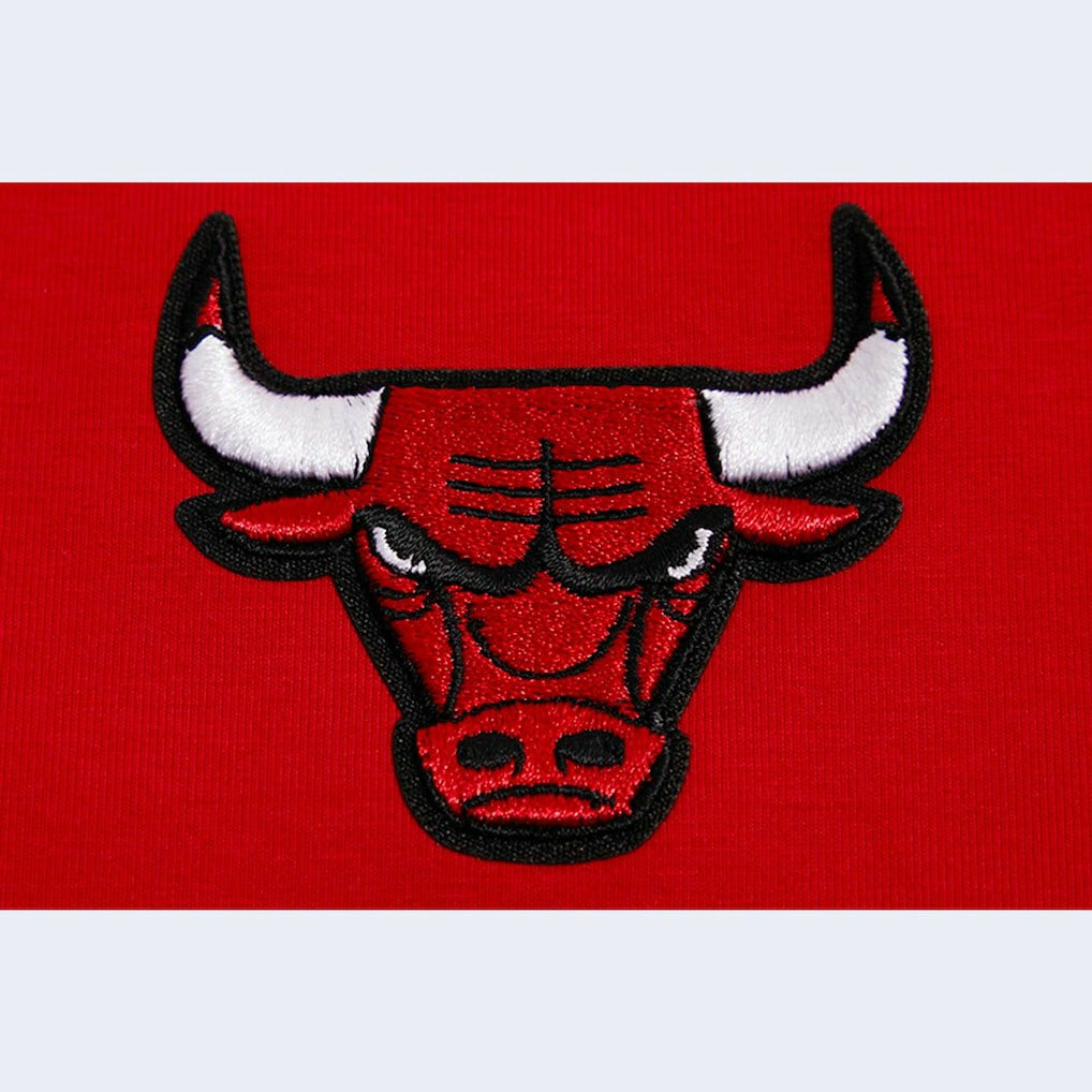 Chicago Bulls Pro Standard Women's Script Tank Top Red - NBA