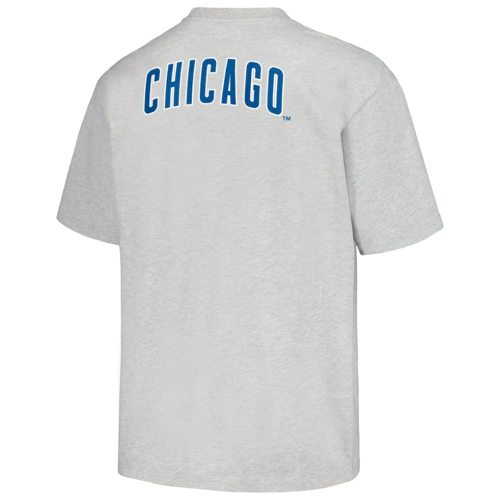 Chicago Cubs PLEASURES Mascot T-Shirt - MLB