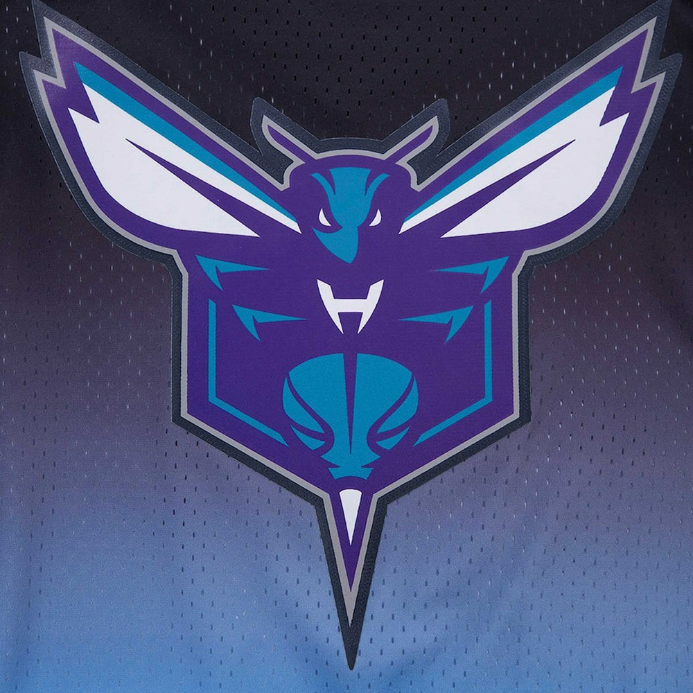 LaMelo Ball Charlotte Hornets Post Ombre Name & Number T-Shirt Navy/Blue - NBA
