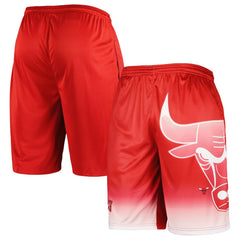 Chicago Bulls Graphic Shorts Red - NBA