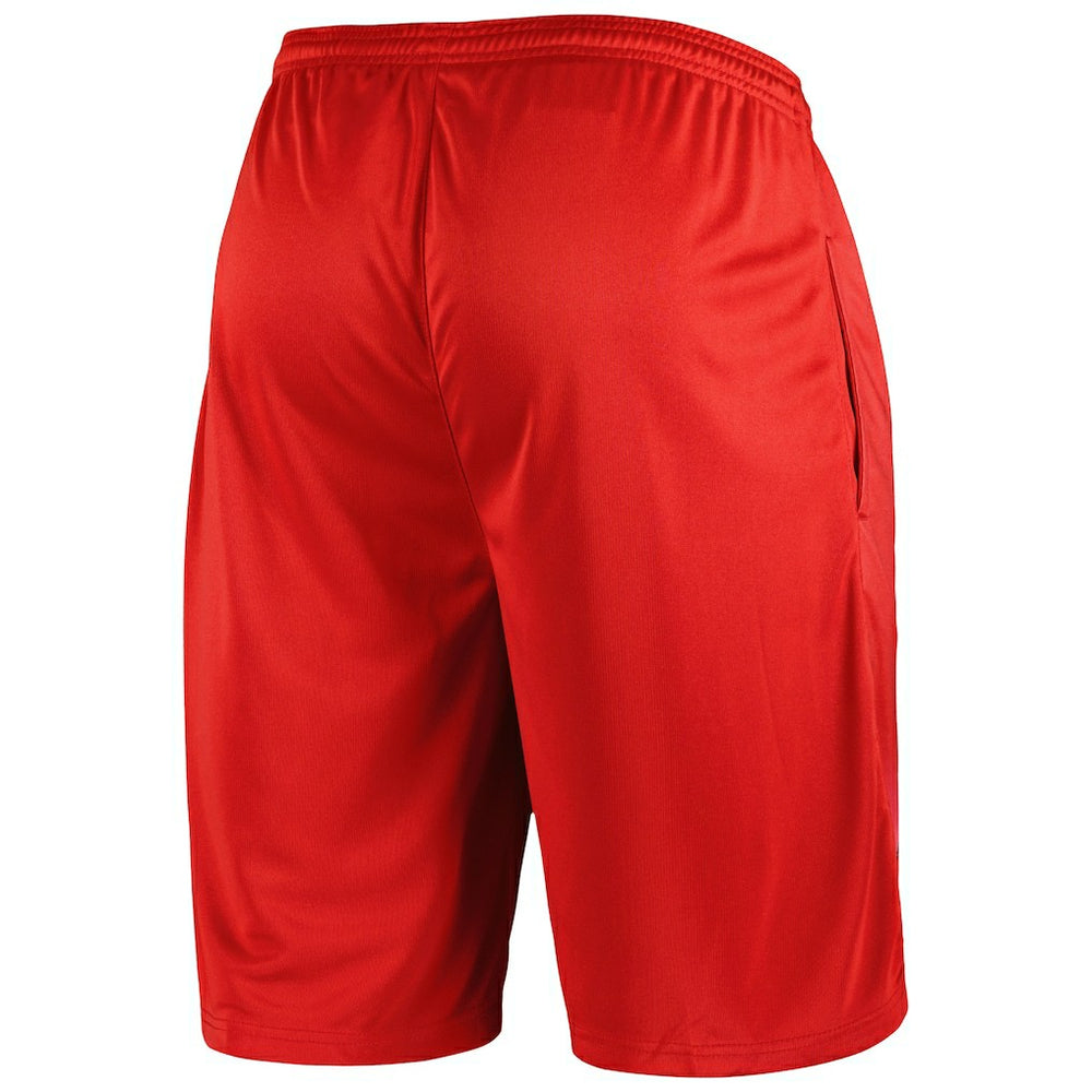 Chicago Bulls Graphic Shorts Red - NBA