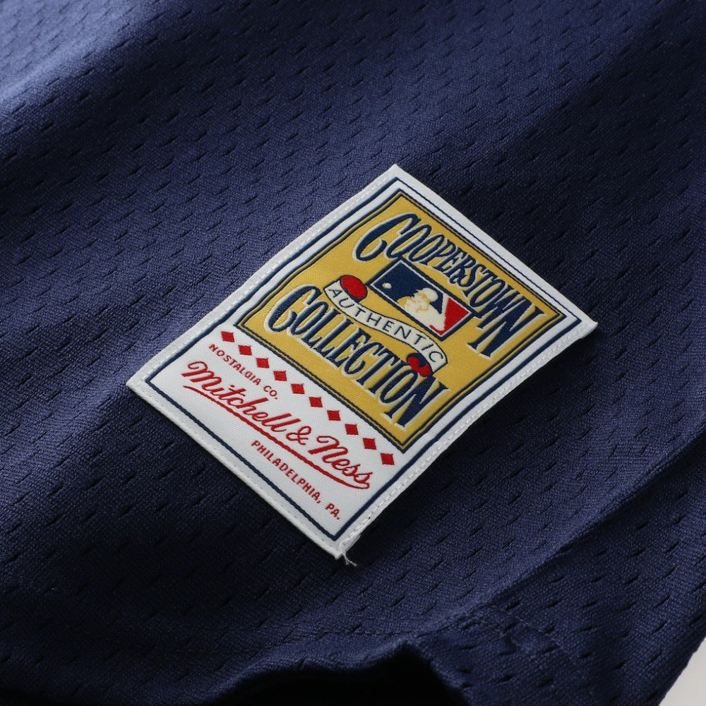 Don Mattingly New York Yankees Mitchell & Ness Authentic Batting Practice Jersey - MLB