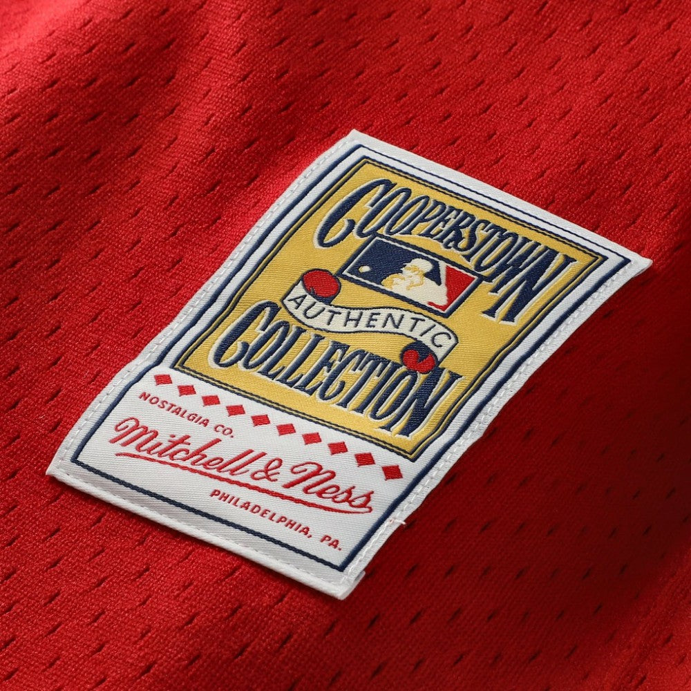 Johnny Bench Cincinnati Reds Mitchell & Ness Authentic Batting Practice Jersey - MLB