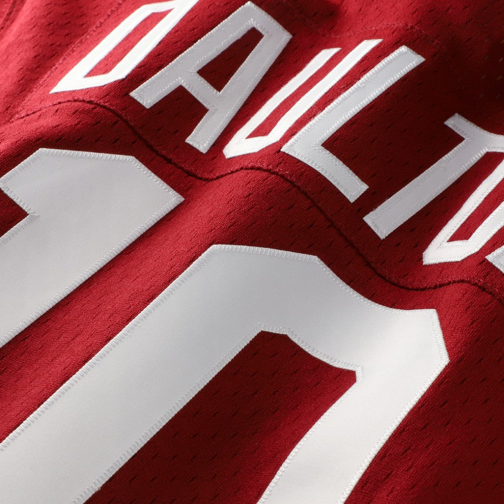 Darren Daulton Philadelphia Phillies Mitchell & Ness Authentic Batting Practice Jersey - MLB