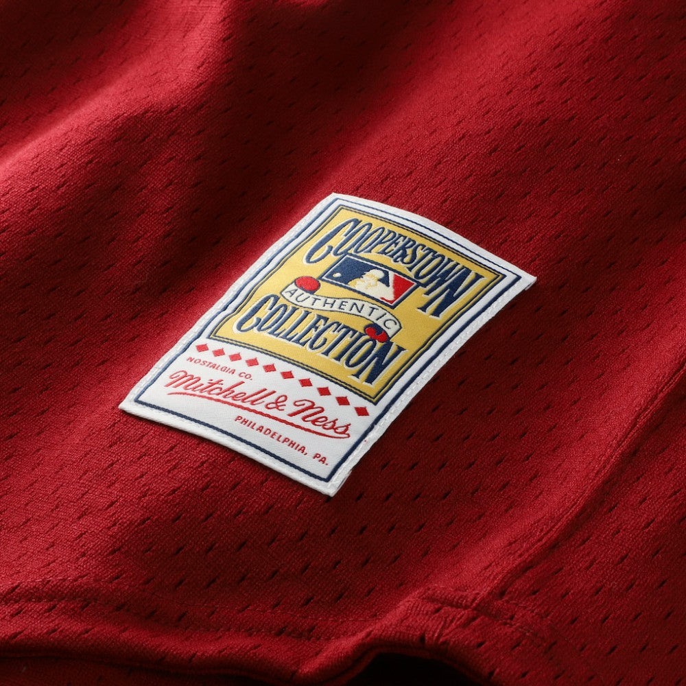 Darren Daulton Philadelphia Phillies Mitchell & Ness Authentic Batting Practice Jersey - MLB
