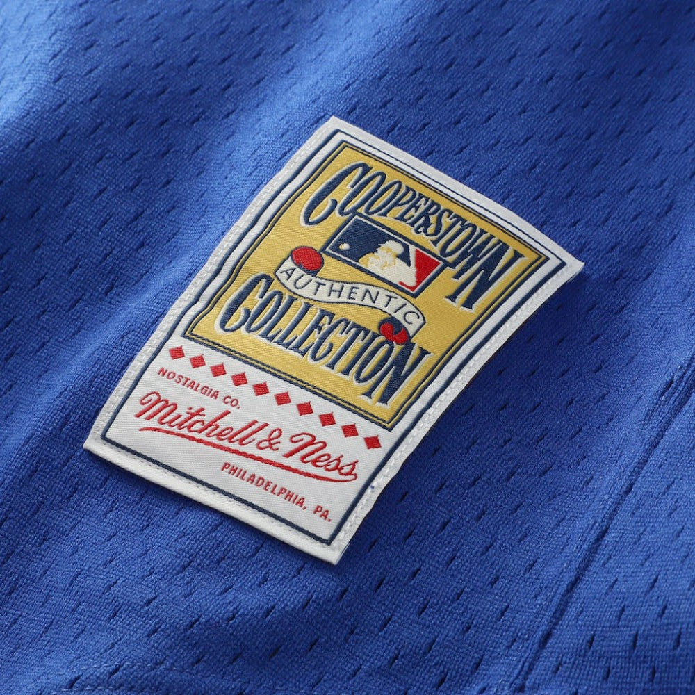 Nolan Ryan Texas Rangers Mitchell & Ness Authentic Batting Practice Jersey - MLB