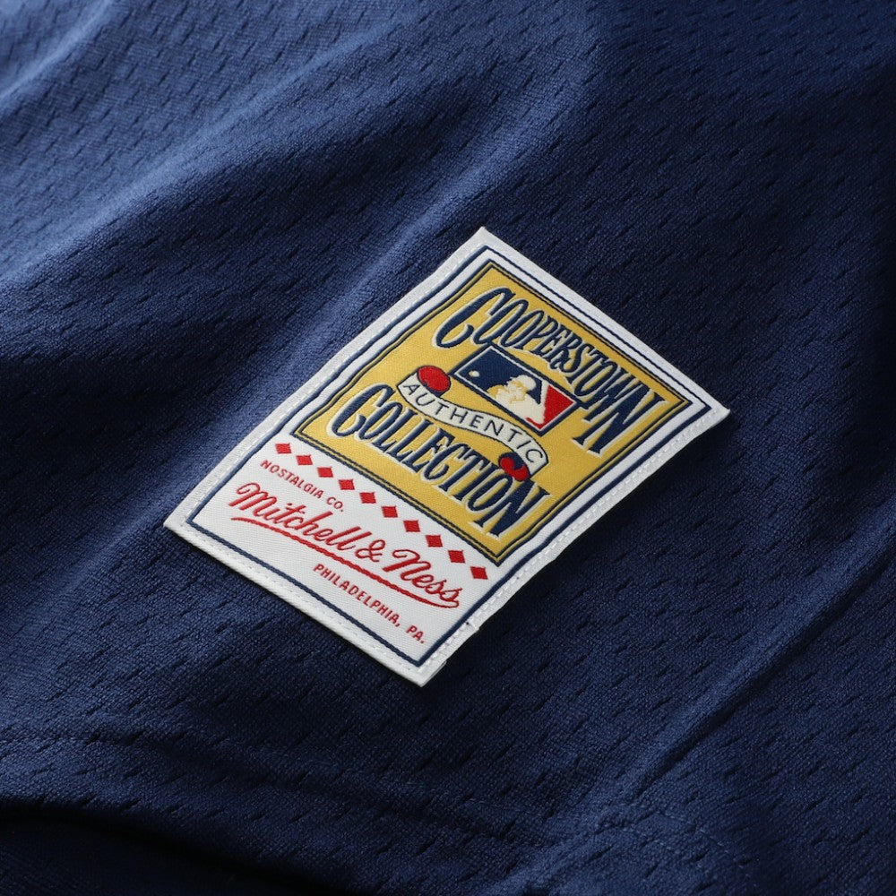 Craig Biggio Houston Astros Mitchell & Ness Authentic Batting Practice Jersey - MLB