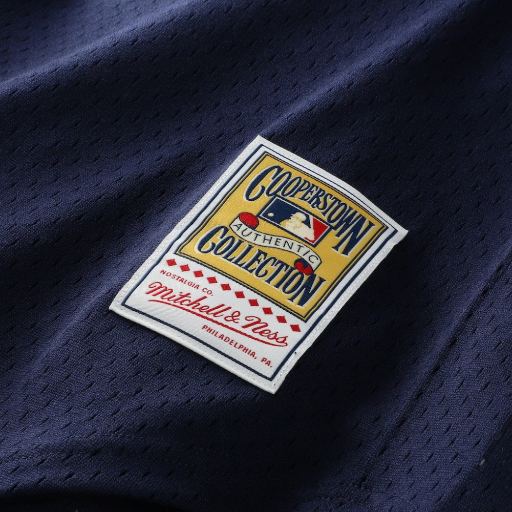 Alan Trammell Detroit Tigers Mitchell & Ness Authentic Batting Practice Jersey - MLB