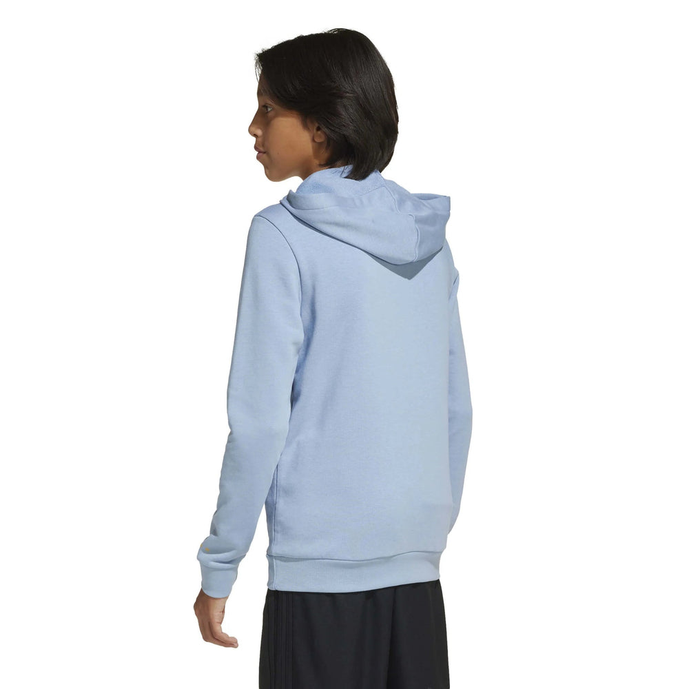 2025-26 Argentina Youth Anniversary DNA Soccer Hoodie | Adidas
