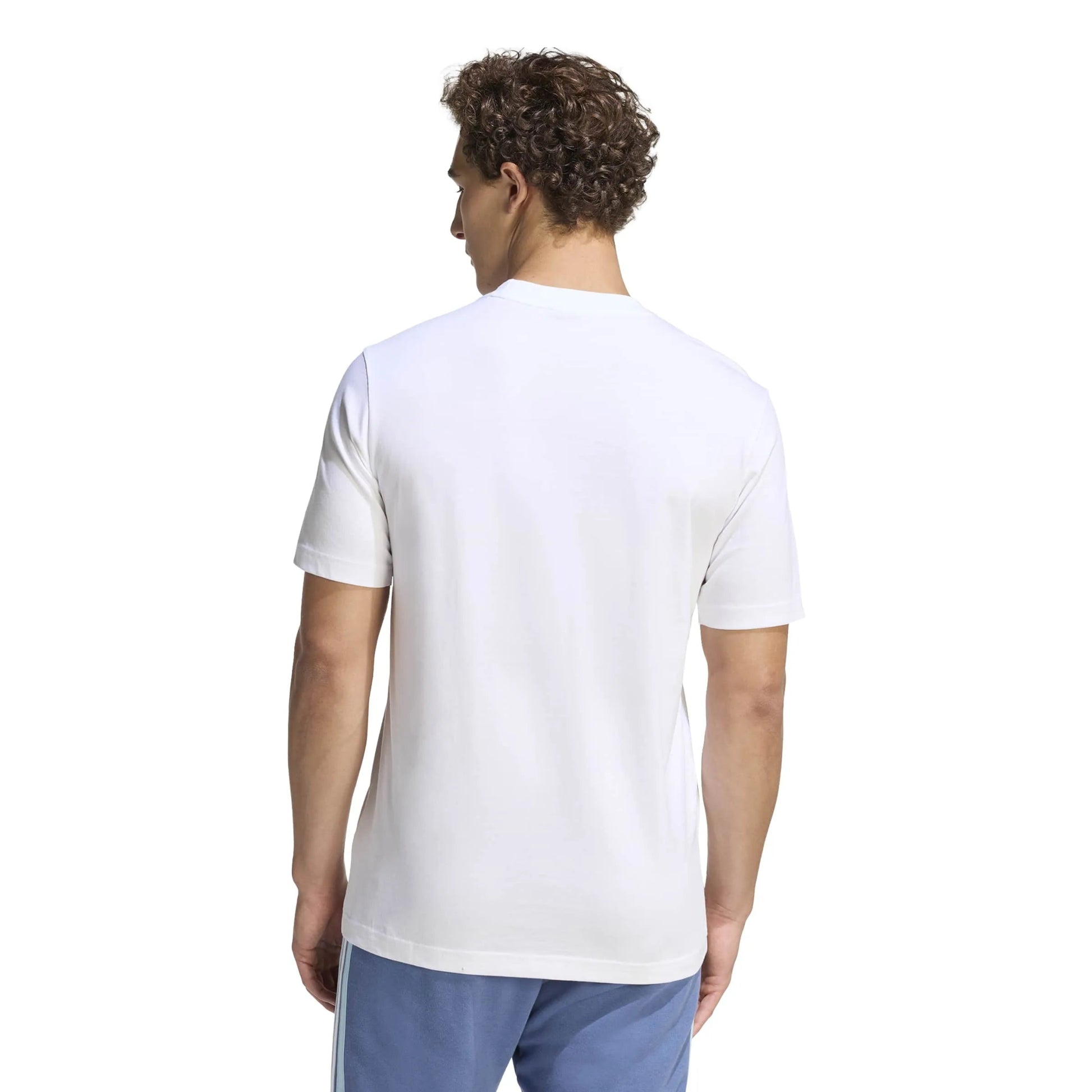 2026 Argentina Mens DNA Graphic Tee | Adidas